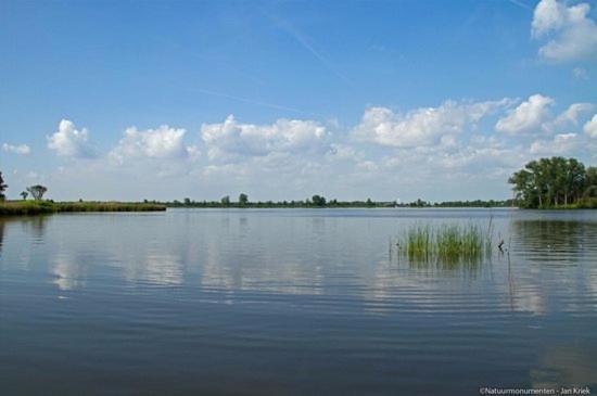 Froukje'S B&B Woerdense Verlaat エクステリア 写真